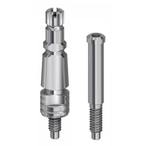 DESS External Hex USA (3i® Osseotite®) - Transfer