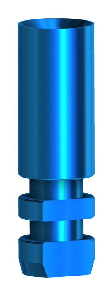 DESS Internal SEM (Bego Semados®) - Analogue