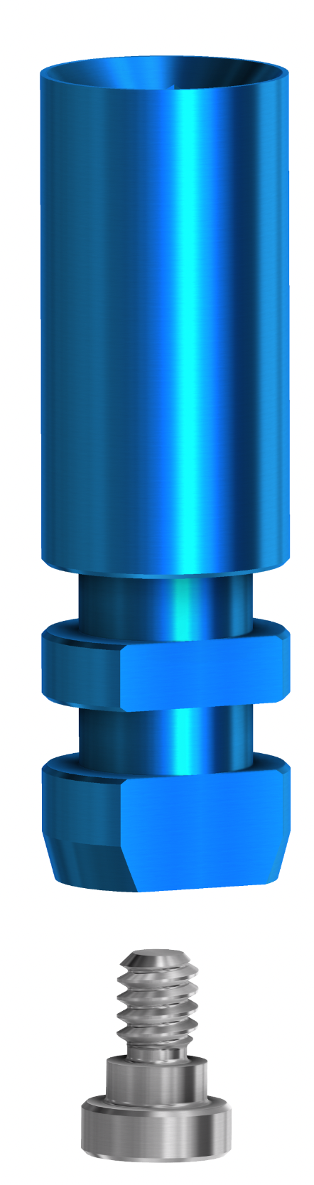 DESS Internal SEM (Bego Semados®) - Digital Analogue