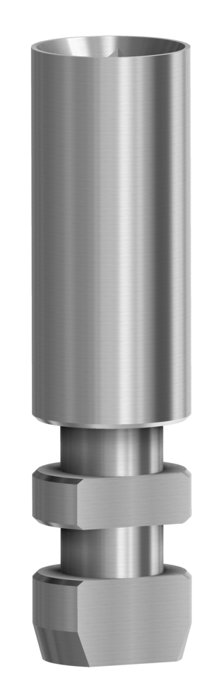 DESS Internal Hex BH (BioHorizons® Internal) - Analogue