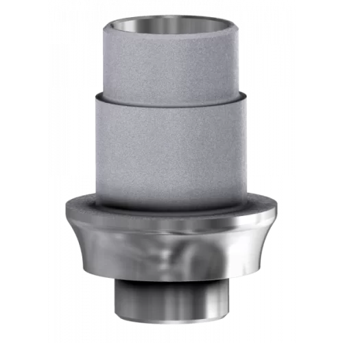 DESS Internal BT (BTI®) - Ti-Base