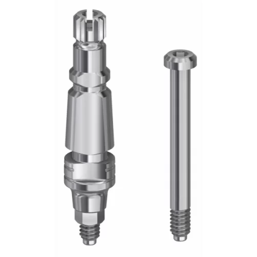 DESS Conic ANYR (Megagen AnyRidge®) - Transfer