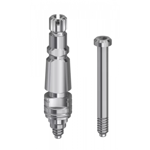 DESS Internal BT (BTI®) - Transfer