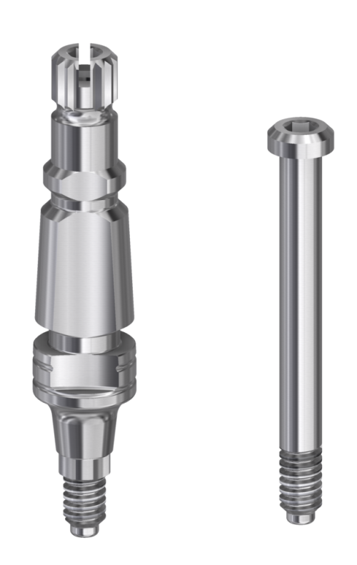 DESS Conic MC (Mis®C1 internal) - Transfer (NP|WP)