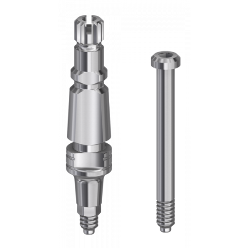 DESS Conic INK (GlobalD IN-KONE®) - Transfer