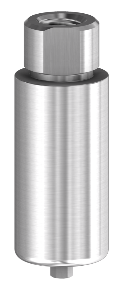 DESS Internal Hex MI (Mis®Seven) - Titanium Pre-Milled Blank