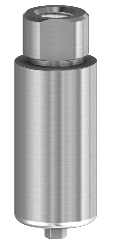 DESS Internal Hex BH (BioHorizons® Internal) - Titanium Pre-Milled Blank