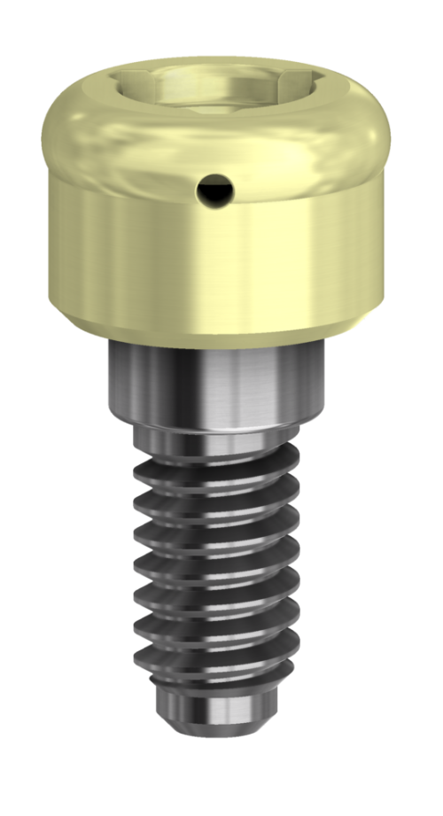 DESS Internal Hex BH (BioHorizons® Internal) - DESSLoc®