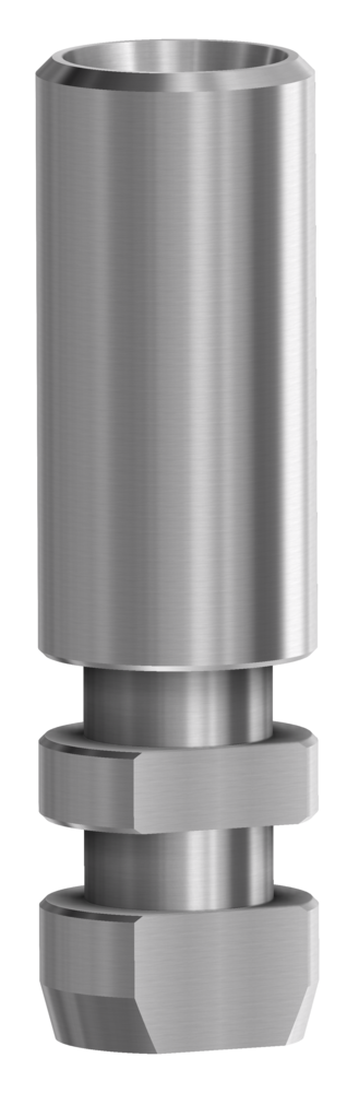 DESS Conical BL® (Straumann® Bone Level) - Analogue