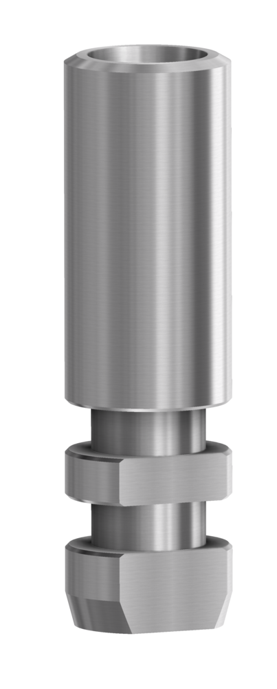 DESS Internal ANK (Dentsply Ankylos® C/X) - Analogue