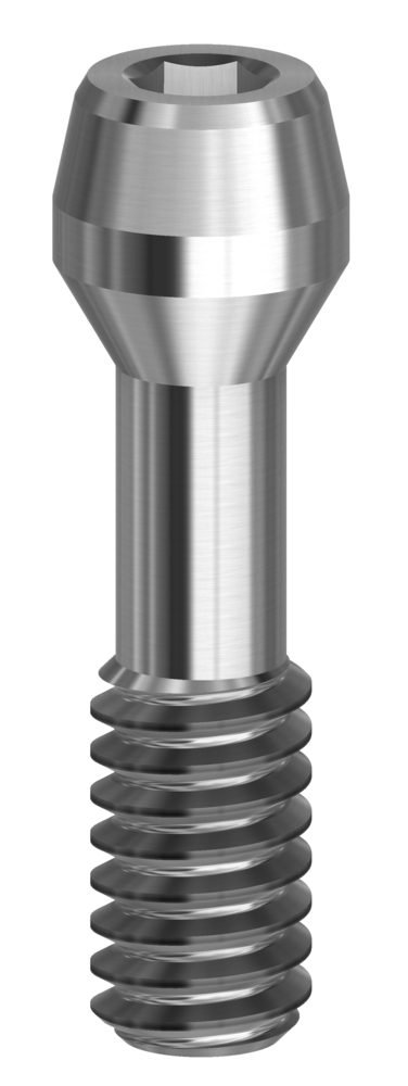 DESS Internal ANK (Dentsply Ankylos® C/X) - Screw Hex 1.00mm