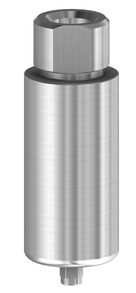 DESS Internal Hex "Click" (3i Certain®) - Titanium Pre-Milled Blank